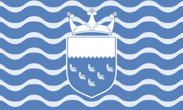 WEST SUSSEX CO 2007 FLAG