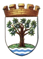 WORCESTERSHIRE COUNCIL ARMS