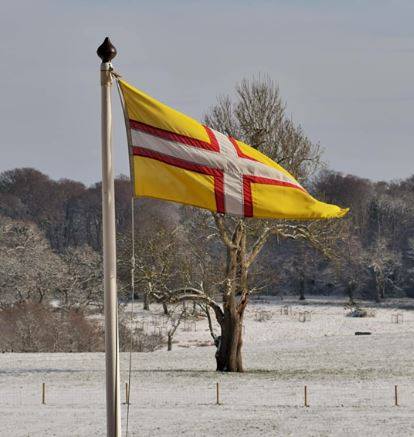 67327020_1075610622624028_1787208236294733824_n