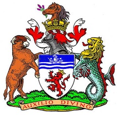 DEV.CC.ARMS