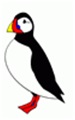 PUFFIN