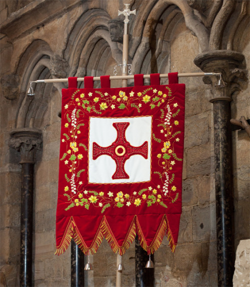 tumblr_o4bwcjnRam1qm6vs3o1_500