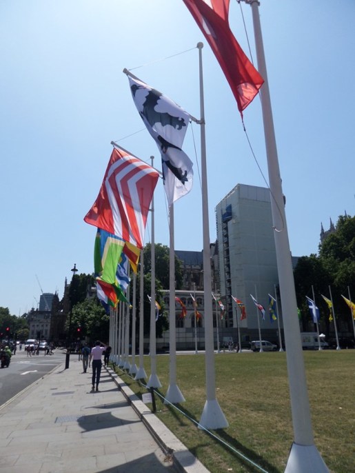 67315196_1072542396264184_6837657857299578880_n