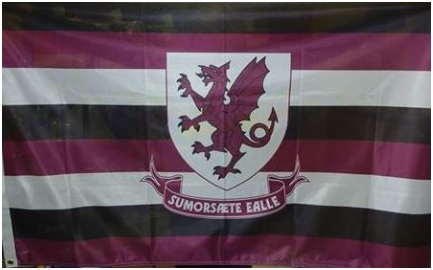 RUGBY FLAG (2)