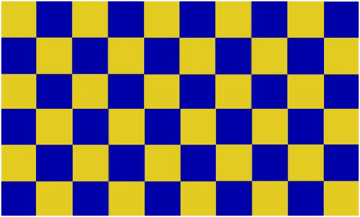 COUNTY FLAG OF SURREY (2)