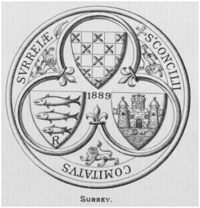 COUNTY SEAL (2)