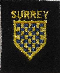 WWII Royal Surrey Regiment Cloth Badge (2)
