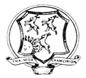 MERI COUNCIL SEAL (2)