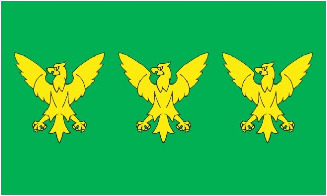 CAERNARFONSHIRE FLAG (2)