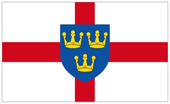 EAST ANGLIA FLAG (2)
