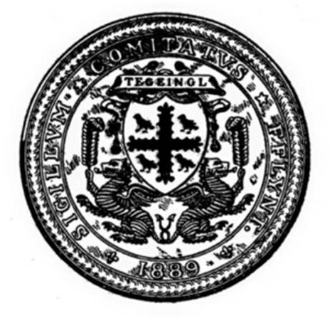 COUNCIL SEAL (2)
