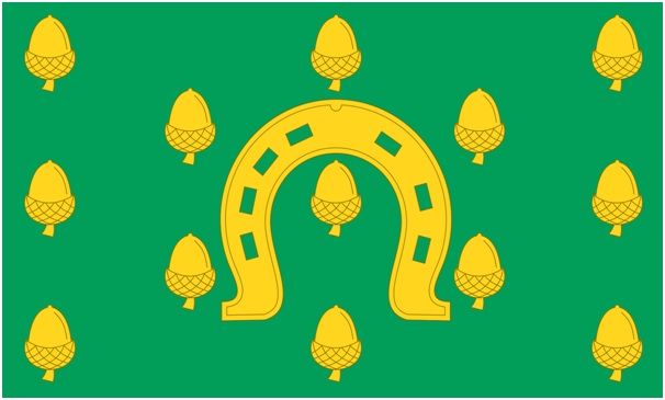 INSERT IMAGE 1 RUTLAND FLAG (2)