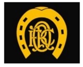 INSERT IMAGE 12 BADGES 3 (2)