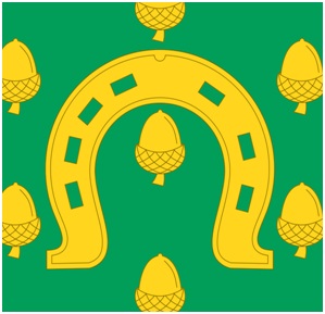 INSERT IMAGE 21 NAIL HOLES (2)