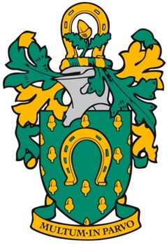 INSERT IMAGE 9 RCC ARMS B (2)