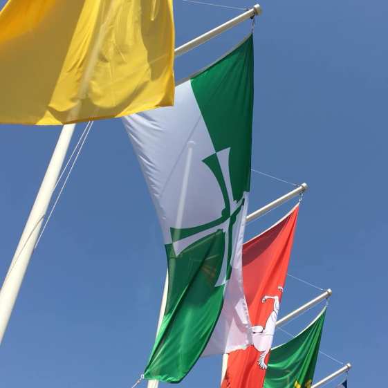 67300734_1072545719597185_8301484571220770816_n