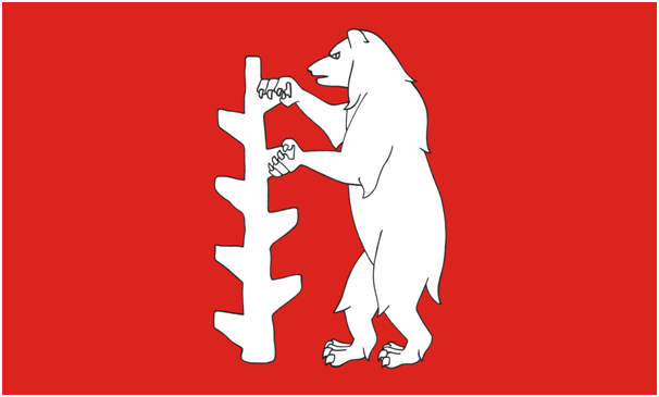  WARWICKSHIRE FLAG (2)