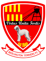 bedlington-terriers-fc