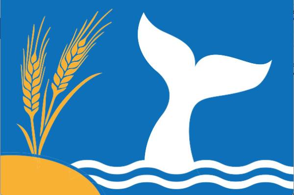 37105870_10155647640951444_1347998790342148096_o