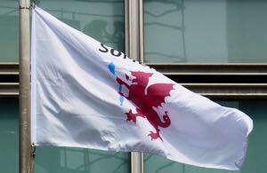 somerset-cc-logo-flag11